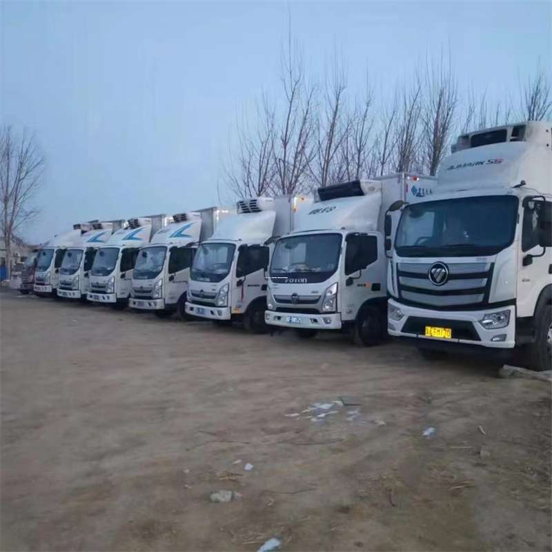 河北衡水桃城到思茅物流公司-一站式服务（思茅物流公司电话）